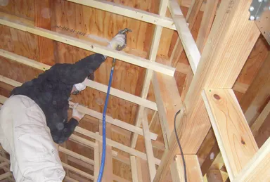 全構造材予防処理