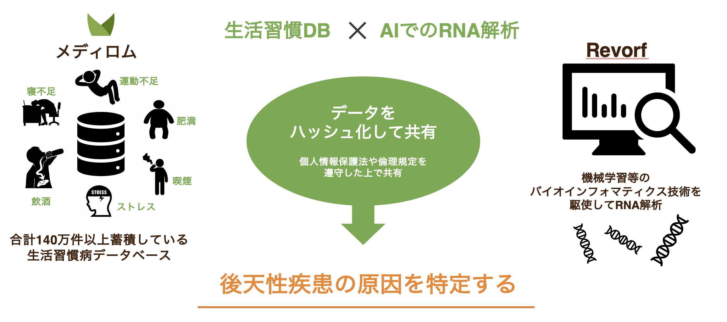 news feed image
