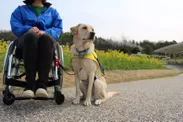 介助犬使用者と介助犬：撮影 社会福祉法人日本介助犬協会