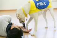 介助作業／緊急時の連絡手段の確保：撮影 社会福祉法人日本介助犬協会