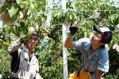 先代から技術を引き継いでいく