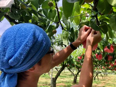 旬は9月中旬～11月末頃まで