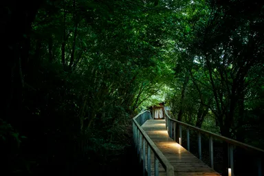 箱根リトリート fore