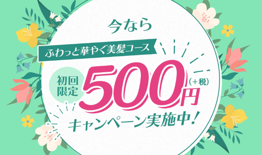女性のための育毛剤 薬用スカルプエッセンス ルルシア 初回500円キャンペーン年9月1日 火 より開始 株式会社キーリーのプレスリリース 女性のための育毛剤 薬用スカルプエッセンス ルルシア 初回500円キャンペーン年9月1日 火 より開始 株式会社キーリーのプレスリリース