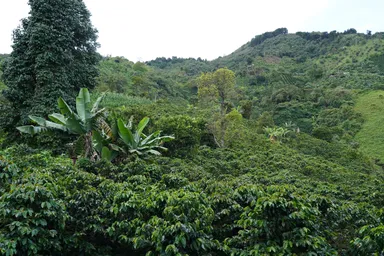 サステナブルな栽培環境のルパタ農園