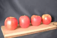 品種ごとに異なる、信州りんご