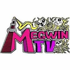 株式会社MEGWIN TV