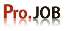 Pro.JOB(プロジョブ)　サイトロゴ
