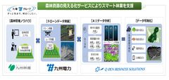 自治体向け森林資源の見える化サービスを開始します