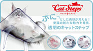 愛猫の肉球が見える！透明のキャットステップをMakuakeにて9月1日より発売！