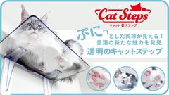 愛猫の肉球が見える！透明のキャットステップをMakuakeにて9月1日より発売！