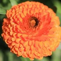 Photo by 前田 真梨子