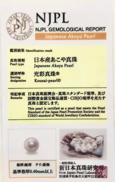 鑑別書サンプル