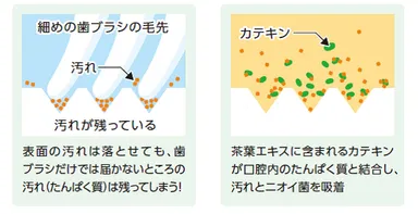 茶葉エキスで固めてお口スッキリ！