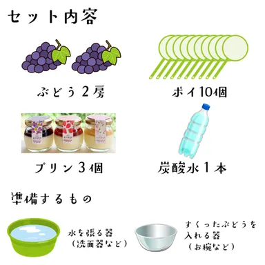ぶどうすくいセット内容