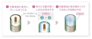 シーバックソーンベリーオイル