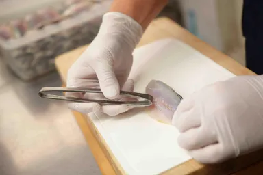 小骨を抜く様子