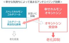 幸せな気持ちによって高まるアンチエイジング効果