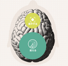 オーティコン補聴器、最新の研究により、「脳から聞こえを考える」BrainHearing TMの妥当性が示されたことを発表