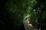 広大な箱根の森に佇む箱根リトリート