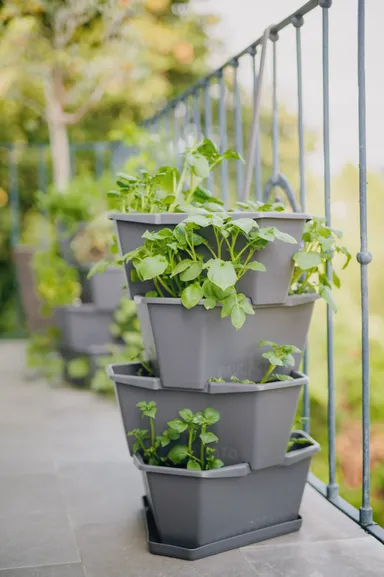 ポールポテト　利用シーン3