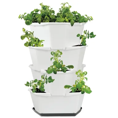 ポールポテト　プラスチック　ホワイト4段