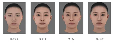 顔だちの分類について