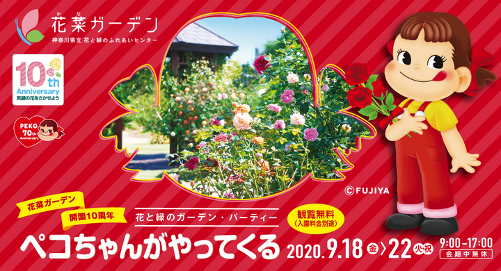 花菜ガーデン開園10周年 不二家ペコちゃん生誕70周年コラボ企画 花と緑のガーデン パーティー ペコちゃん がやってくる 9月18日 22日開催 会場限定スペシャルパッケージの ミルキー も販売 ヒガ アーツ メタル株式会社のプレスリリース