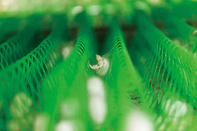 NSP工場の特徴・3