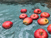 りんごの湯開催イメージ