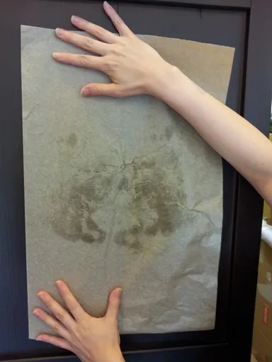 余分な皮脂をきっちり吸収。顔の形もくっきり浮かび上がります。