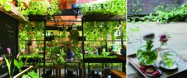 カフェイメージ