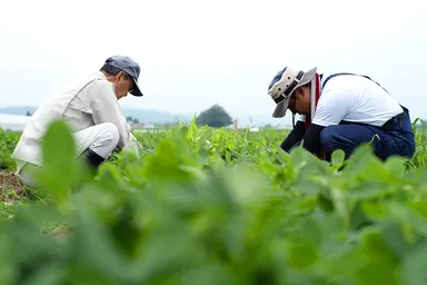 地元の農家様支援企画