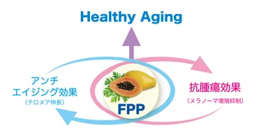(図1)FPP(パパイヤ発酵食品)のアンチエイジング効果と抗腫瘍効果