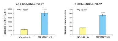 (図3)FPP(パパイヤ発酵食品)を摂取したマウスと摂取していないマウスのテロメアの長さの比較
