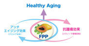 (図1)FPP(パパイヤ発酵食品)のアンチエイジング効果と抗腫瘍効果