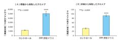 (図3)FPP(パパイヤ発酵食品)を摂取したマウスと摂取していないマウスのテロメアの長さの比較