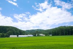 北海道でも北部に位置する森林の街「下川町」は夏と冬の寒暖差が60℃！