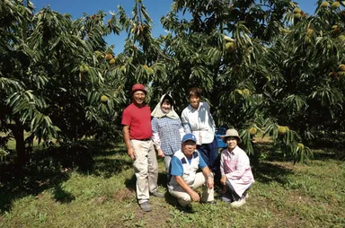 共に土壌作りをした栗園にて