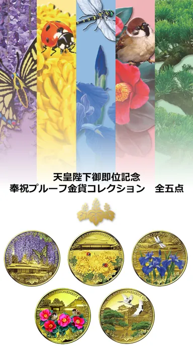 奉祝金貨セット帯