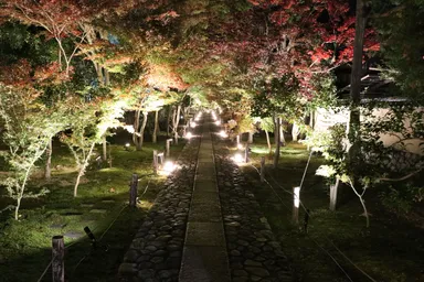 舎利殿 (2019年撮影)