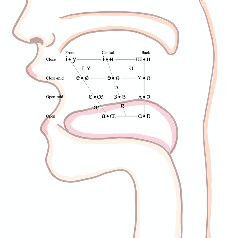 オンライン授業で外国語の発音指導の可能性