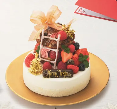 ＜オー・ギャマン・ド・トキオ＞ベリーレアチーズ クリスマス