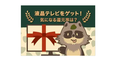 ふるさと納税「テレビ」還元率ランキング