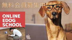 ｄｓファーマアニマルヘルス 犬用外耳炎治療剤 オスルニア R の営業活動開始に関するお知らせ ｄｓファーマアニマルヘルス株式会社のプレスリリース