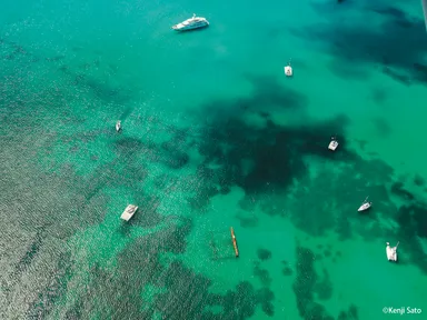 佐藤 健寿　作品