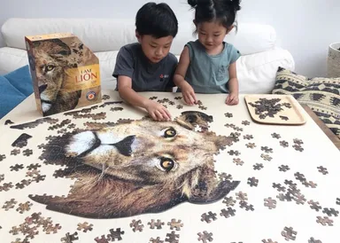 モニター写真／ライオン