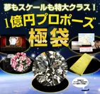 夢の福袋『1億円のプロポーズ 極袋』
