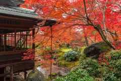 秋の京都の紅葉や夜景を貸し切りで堪能　早朝や夜間、密を避けた『秋の貸切プラン』を販売開始