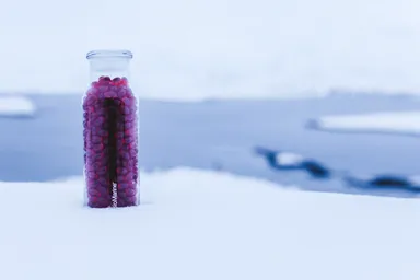 南極のクリルオイル